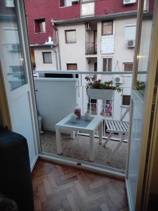 Apartman Nicolas 贝尔格莱德 外观 照片